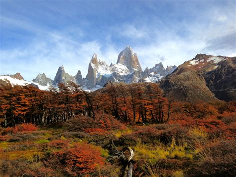 El Chalten, Argentina | Fall foliage with Mount Fitz Roy Glacier in the background | Natural ...