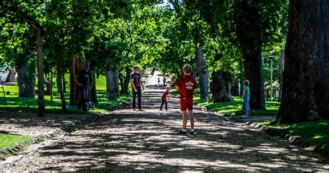 Family Fun at Groot Constantia to Celebrate Family History Month - Groot Constantia