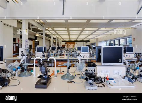 Laboratory at the Department of Zoology Oxford University Stock Photo - Alamy