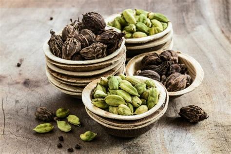 Cardamom Plant Growing, Harvesting And Using - Gardender