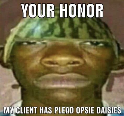 Your honor my client has plead oopsie daises | Your Honor | Know Your Meme