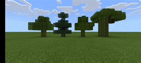 Minecraft: How to get Spruce wood – FirstSportz