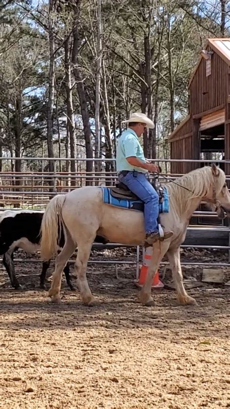 Teaching snappy cow horse turns | Tim Anderson Horse Training | Tim ...