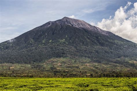 2 Weeks in Kerinci Seblat National Park, Sumatra, Indonesia