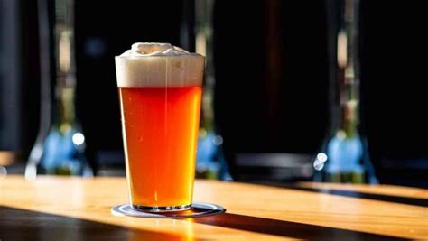 15 Best Cream Ale Beer Recipes