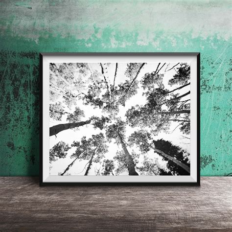 Forest Photography Print Tree Canopy Wall Art Unframed Wall Art Print ...