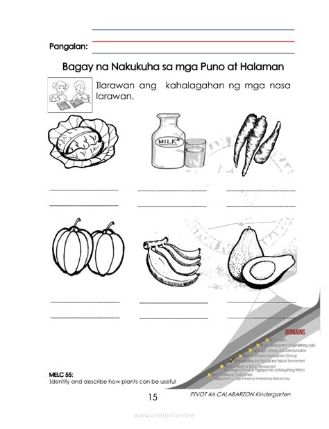 Mga Bahagi Ng Halaman Worksheet | My XXX Hot Girl