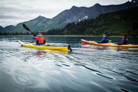 Kayaking among the Kenai Fjords in Alaska 2024 - Rove.me