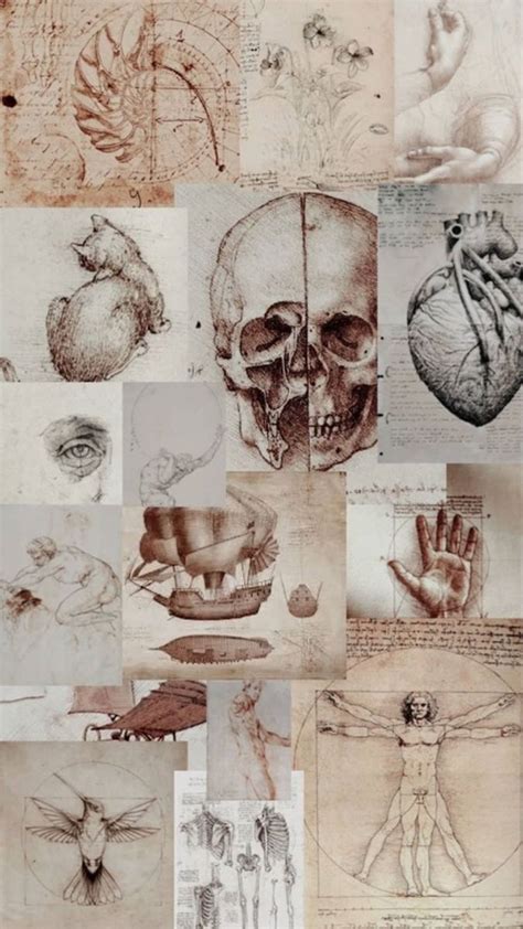 Pin by Foteeni on Wallpaper | Medical wallpaper, Anatomy art, Human anatomy art