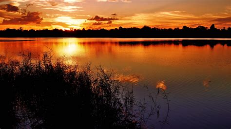 sunset, Lake, Grass, Night, Silhouette, Beach, Clouds, Reflection ...