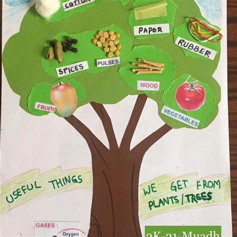 Pin by Rakhi Kumari on Kids worksheet | Trees to plant, Worksheets for kids, Paper