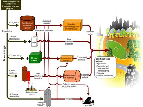 What are biosolids? - Biosolids