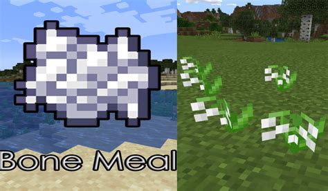 Minecraft: How to make white dye and what are its uses