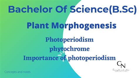 Photoperiodism || Phytochrome || Importance of photoperiodism || Morphogenesis || The Success ...