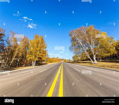 autumn forest road Stock Photo - Alamy