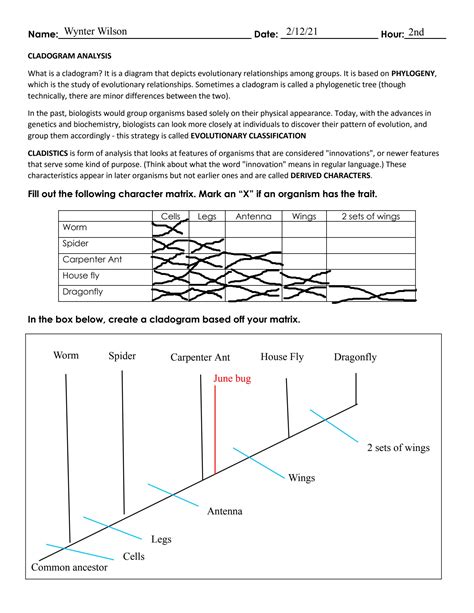 Cladistics and Cladograms online exercise for | Live Worksheets ...