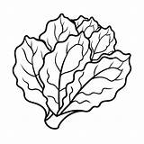 Vegetable coloring Page  Premium AI Generated Vector sketch template