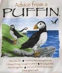 7 Puffin sayings ideas | puffin, puffins bird, animal spirit guides