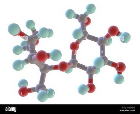 Sucrose molecular model Atoms are represented as spheres and are colour-coded: carbon (grey ...