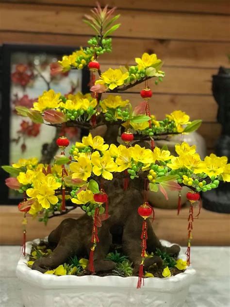 Chậu Bonsai Hoa Mai - Hoa đất sét - Hoa giấy lụa Bình Tiên