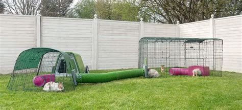 Best Outdoor Rabbit Run | Buyers Guide and Review | Hutch and Cage