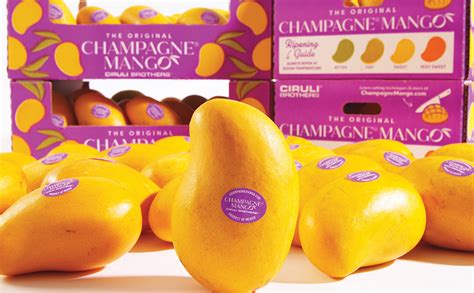 Ciruli Bros. Champagne mangos aim to stand out from the crowd | Produce ...