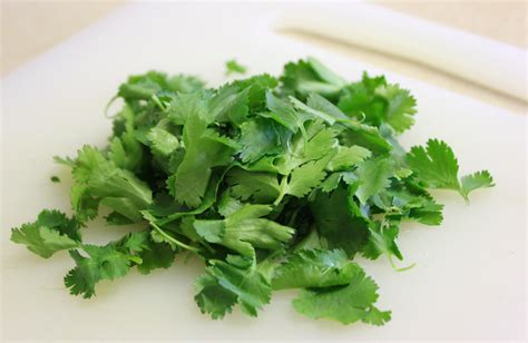 How To Make A Simple Cilantro Salad | Healthy snacks, Chosen foods, Cilantro salad