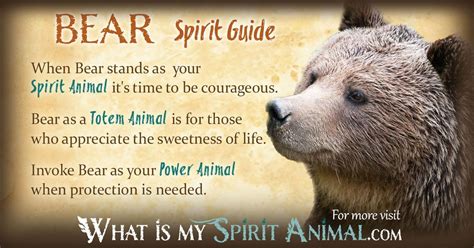 Bear Symbolism & Meaning | Spirit, Totem & Power Animal