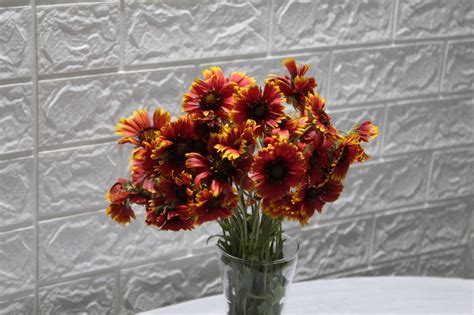 Buy Gaillardia flower bunch - BloomyBliss