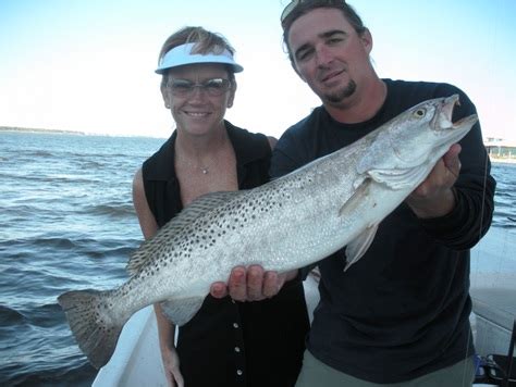 Whats Biting in Orange Beach, Alabama Inshore Fishing Report for October 2009