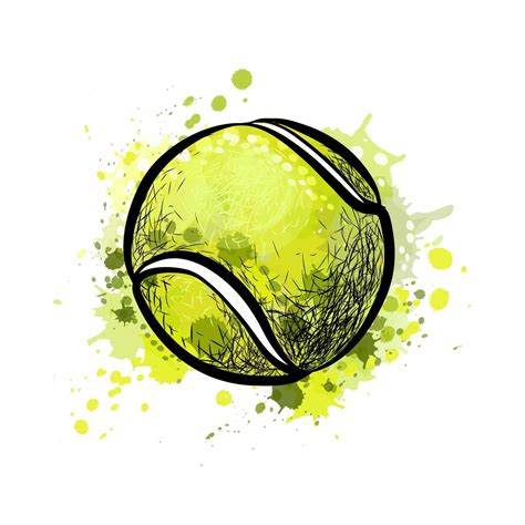 Tennis ball from a splash of watercolor, hand drawn sketch. Vector ...