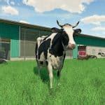 Lambo - FS22 | Farming Simulator 22 Lambo Mods