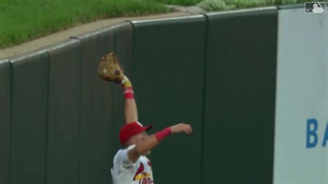 Lars Nootbaar makes a leaping catch in center field | 08/02/2023 | MLB.com