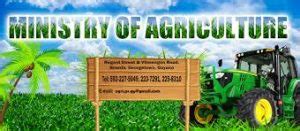 Guyana School of Agriculture