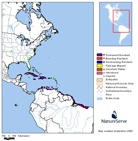 Americas Range Map - American Flamingo | BirdPhotos.com