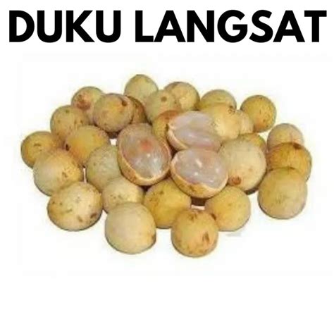 Duku Langsat |Dokong (1 pkt) Fresh Fruits [Klang Valley] | Lazada