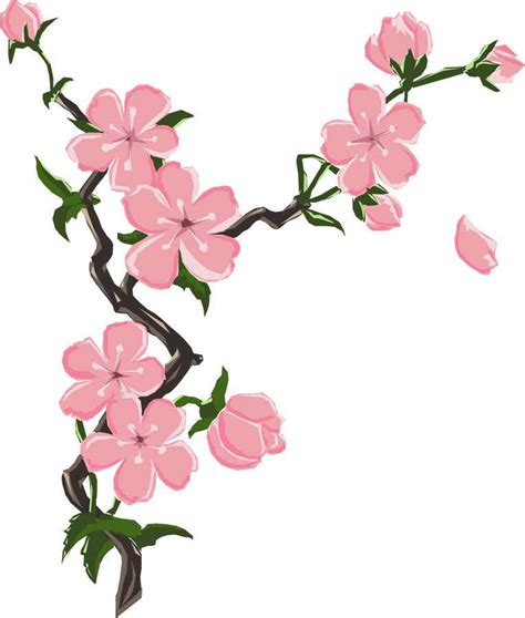 Japanese Cherry Blossom Flower Drawing | Free download on ClipArtMag