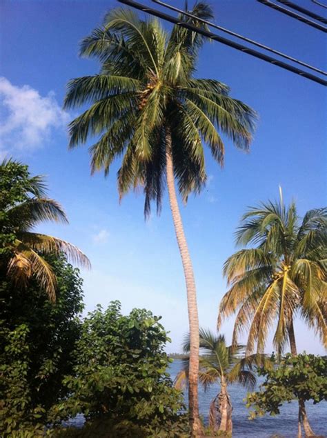 Inches Beach, Patillas, Puerto Rico | BoricuaOnline.com