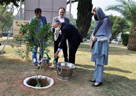 Embassy of Japan donated Jasmine trees to the Japanese Park in Islamabad | Pakistan In the World