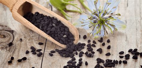 How the Legendary Herb Nigella Sativa Can Make You Smarter