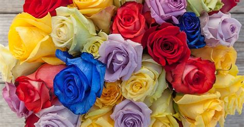 What Do The Colors of Roses Mean? | Bouqs Blog