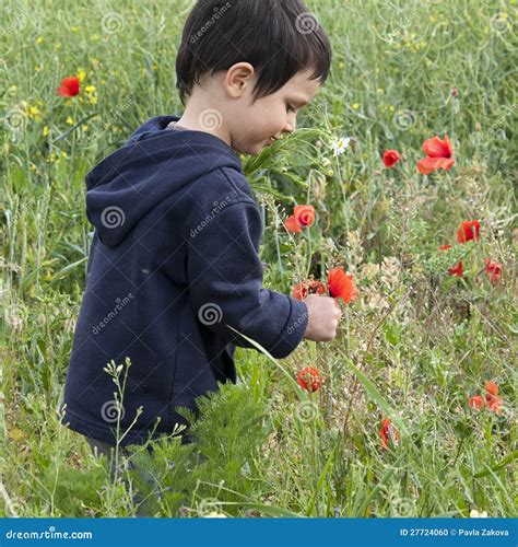 Child Picking Flowers Stock Photo - Image: 27724060