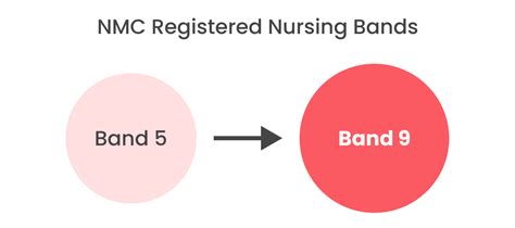 A Nurse’s Guide To NHS Pay Bands In 2024