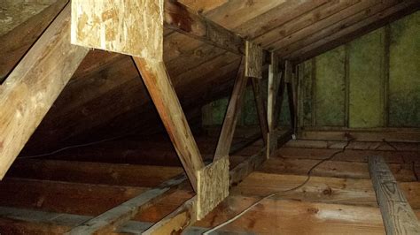 What Causes Mold in Your Attic: How to Remove Attic Mold