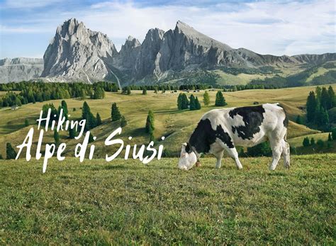 Visiting Alpe di Siusi in 2023: Your Guide to Seiser Alm