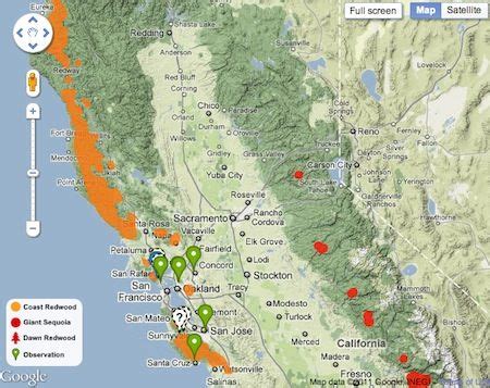 Google 3D Maps Redwood Forest | EarthTechling | California map, Redwood trees california ...