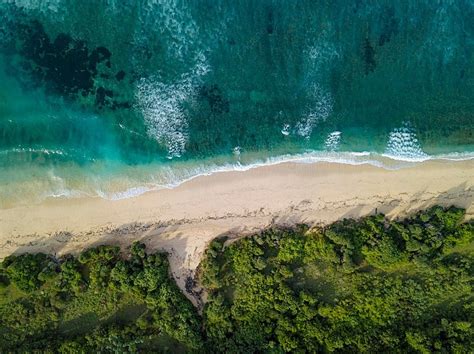 Aerial View Of Tropical Beach Photo Background And Picture For Free ...