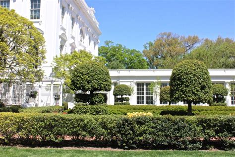 The Beauty of the White House Gardens are a Must See in Washington