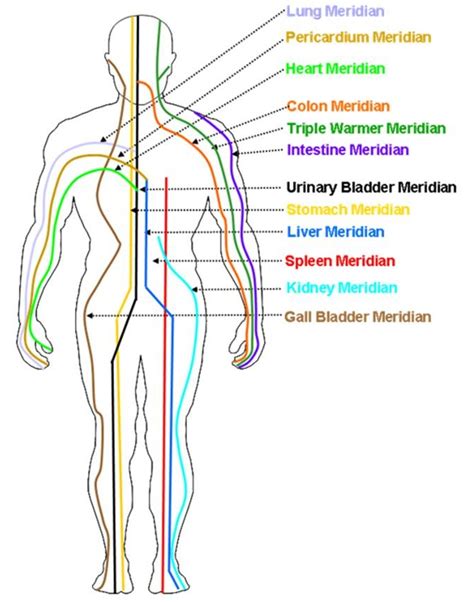 What are the Meridians? | Alternative Resources Directory