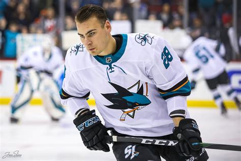 San Jose Sharks’ Timo Meier is a Future NHL Star